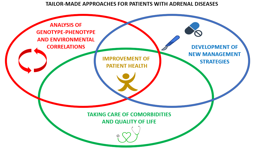 Tailor-made approaches for patients with adrenal diseases